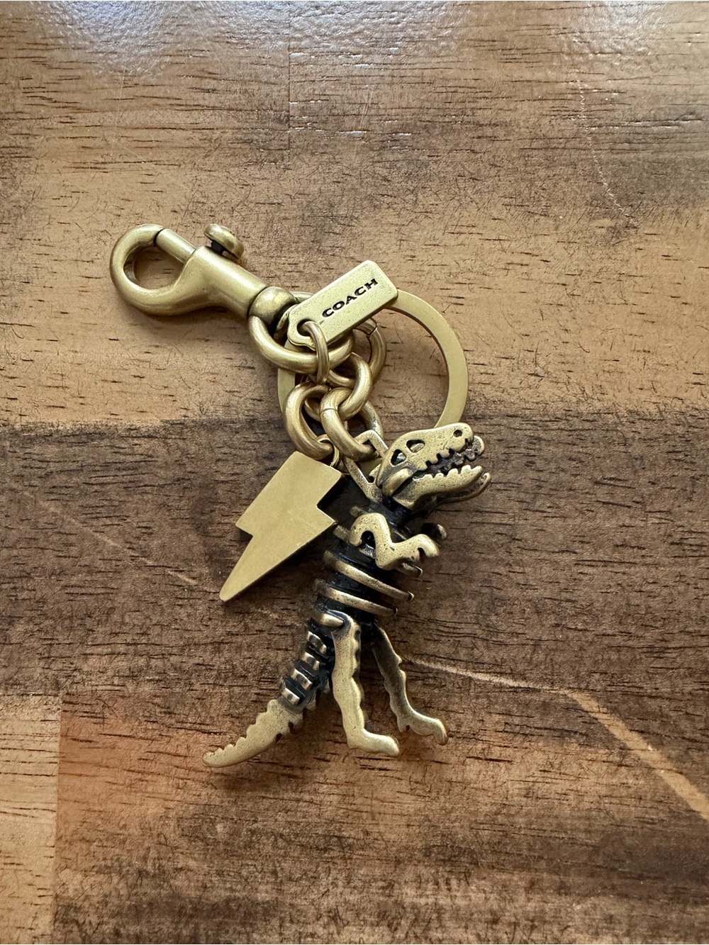Coach Brass Rexy Charm